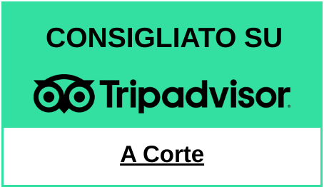 TripAdvisor Choice